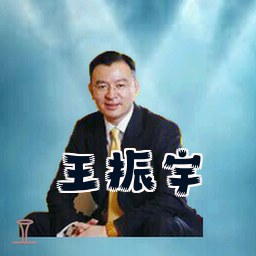 王振宇